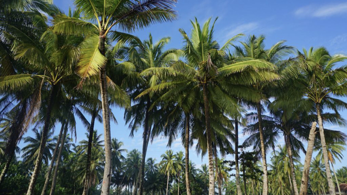 Nelayan Cafe & Eatery Photos 2